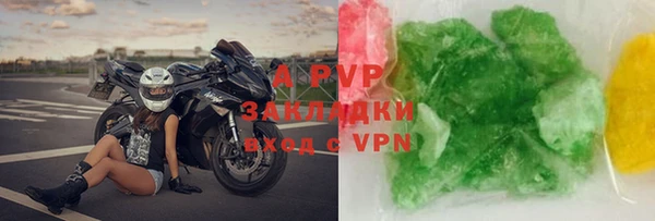 стаф Гусев