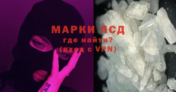 стаф Гусев