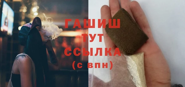 стаф Гусев