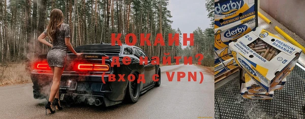 стаф Гусев