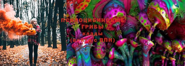 трава Гусь-Хрустальный