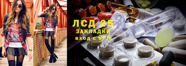 стаф Гусев