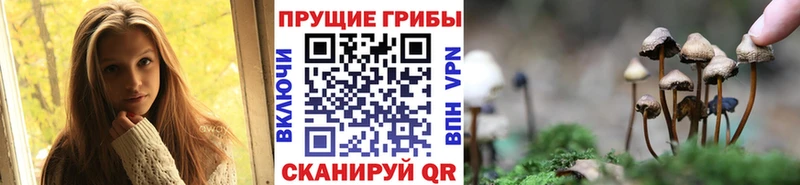 Купить закладки  Добрянка  Галлюциногенные грибы ЛСД 